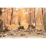 Esschert Design Cerf rouge debout S – Image 2