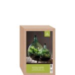 Esschert Design Bouteille terrarium 15L set – Image 4