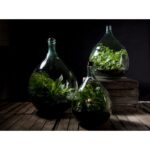Esschert Design Bouteille terrarium 15L set – Image 6