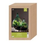 Esschert Design Bouteille terrarium 35 L set – Image 4