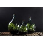Esschert Design Bouteille terrarium 35 L set – Image 5