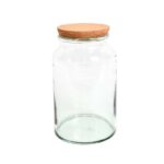 Esschert Design Halfopen terrarium fles M (8714982160158