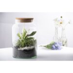 Esschert Design Halfopen terrarium fles M – Image 2