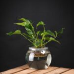 Esschert Design Hydrocultuur pot L – Image 2