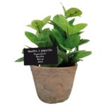 Esschert Design Menthe pot AT GM (8714982086885