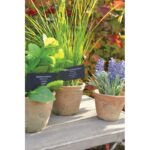 Esschert Design Menthe pot AT GM – Image 2