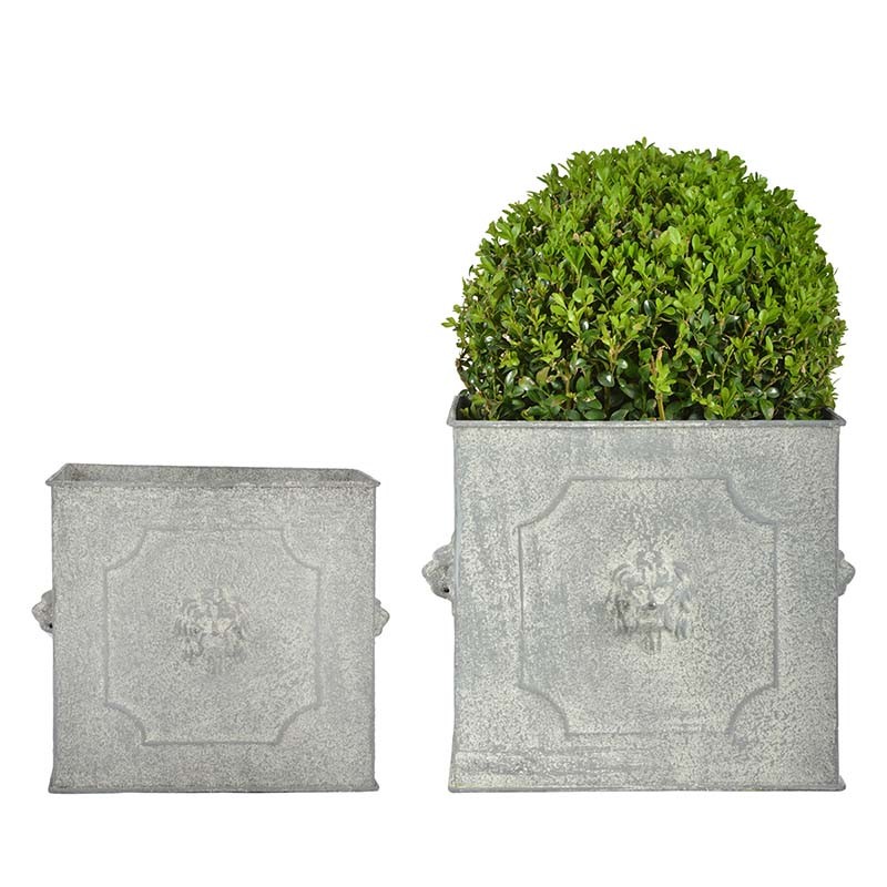 Esschert Design AM Pot de fleurs carrés lion set/2 (8714982141416