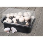 Esschert Design Set cultivateur Champignons – Image 5