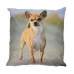 Esschert Design Buitenkussen hond L keuze – Image 3