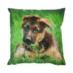 Esschert Design Buitenkussen hond L keuze – Image 4