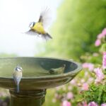 Esschert Design Bain oiseau sr pied c?ramique vert – Image 6