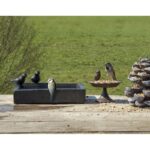 Esschert Design Vogelbad terrazzo vierkant – Image 2