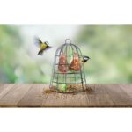Esschert Design Cage de protection des graines pour oiseaux, nourriture comprise – Image 2