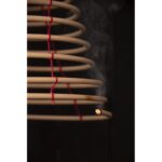 Esschert Design Citronella spiraal hangend S – Image 2