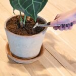 Esschert Design Kamerplanten hark – Image 3