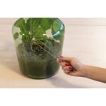 Esschert Design Terrarium pincet – Image 4