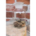 Esschert Design Bouteille de Labo 250ml – Image 2