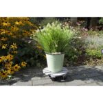 Esschert Design Support plantes rond L – Image 6