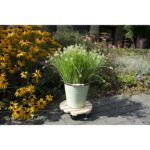 Esschert Design Chariot à plantes – Image 6