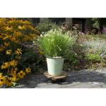 Esschert Design Chariot à plantes – Image 6