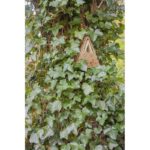 Esschert Design Nichoir Camouflage – Image 6