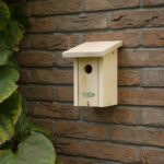Esschert Design Nichoir troglodyque, boîte cadeau – Image 6
