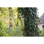 Esschert Design Nichoir grimpereau – Image 2
