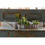 Esschert Design Soucoupe Zinc Patiné 12 cm – Image 2