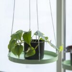 Esschert Design Rond groen plantenplateau L – Image 2