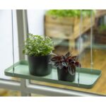 Esschert Design Rechthoekig groen plantenplateau S – Image 2