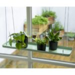 Esschert Design Rechthoekig groen plantenplateau L – Image 2