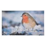 Esschert Design Tapis Rouge-Gorge (8714982092145