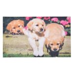 Esschert Design Deurmat puppy (8714982112805