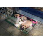 Esschert Design Deurmat puppy – Image 2