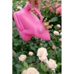 Esschert Design Arrosoir Grenoulle roi Rose – Image 2