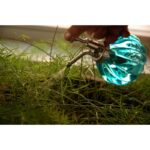 Esschert Design Humidificateur pour plantes – Image 5