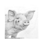 Esschert Design Servetten boerderijdieren z/w L – Image 3