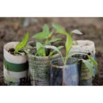 Esschert Design Pressoir pot de papier – Image 2