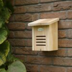 Esschert Design Abri pour coccinelles, boîte cadeau – Image 6