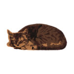 Esschert Design Paillasson coco chat dormant (RB260 8714982214622) - 01