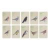 Esschert Design Sac explorateur oiseaux (KG309) - 04