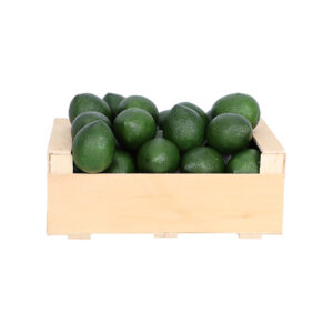 Esschert Design Citron vert (AH041 8714982291838) - 01