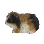 Cavia keuze (37000306