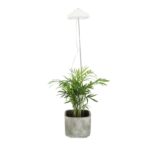 Planten groei lamp wit (AGG105