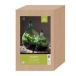 Esschert Design Terrarium fles 15 liter set (AGG48
