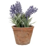 Esschert Design Lavendel in Aged Terracotta pot Small (AH009
