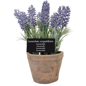 Esschert Design Lavendel in Aged Terracotta pot Large (AH010