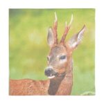 Esschert Design Papieren servetten ree 33x33cm (TP185