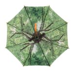 Paraplu boomkroon (TP339