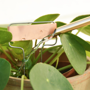 Esschert Design Koperen plantlabels set van 6 - Afbeelding 4